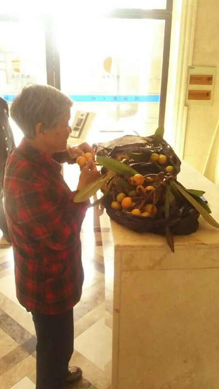 CA88(中国区)有限公司 - 官方网站