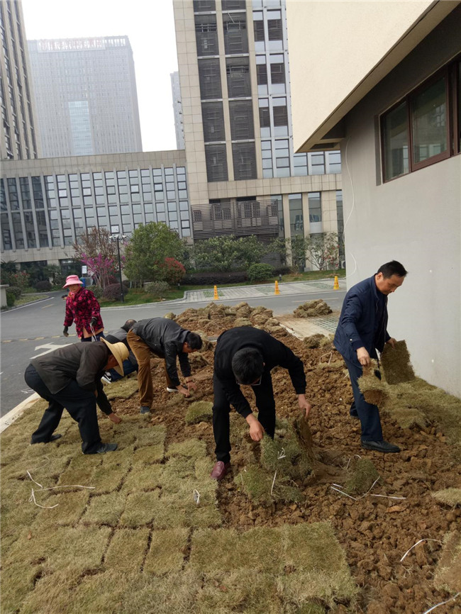 CA88(中国区)有限公司 - 官方网站