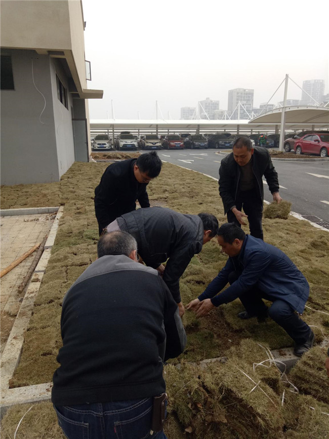 CA88(中国区)有限公司 - 官方网站