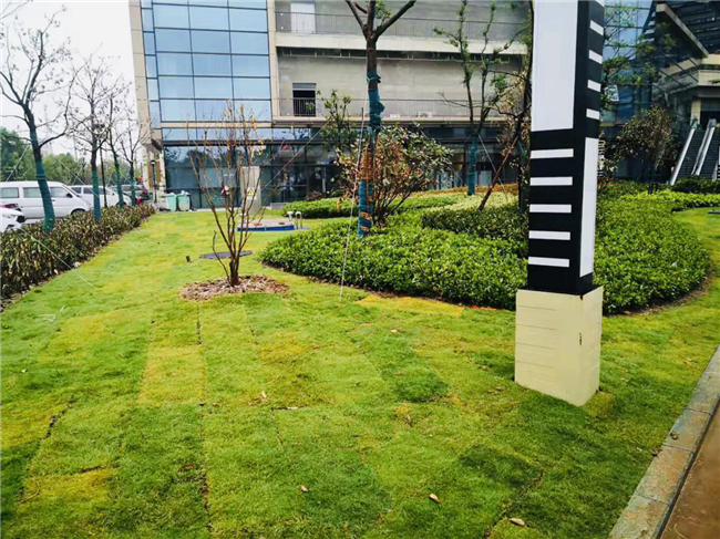 CA88(中国区)有限公司 - 官方网站