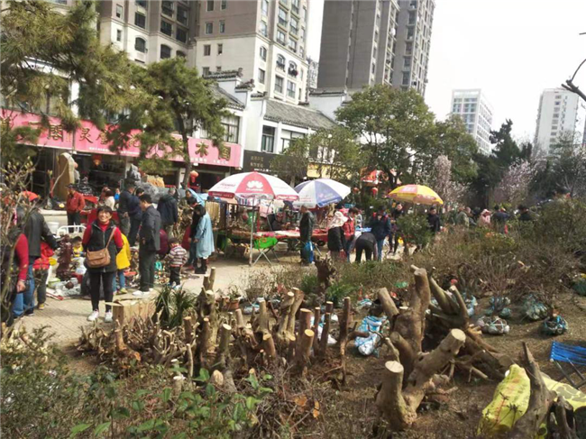 CA88(中国区)有限公司 - 官方网站