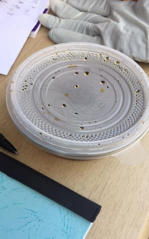 CA88(中国区)有限公司 - 官方网站