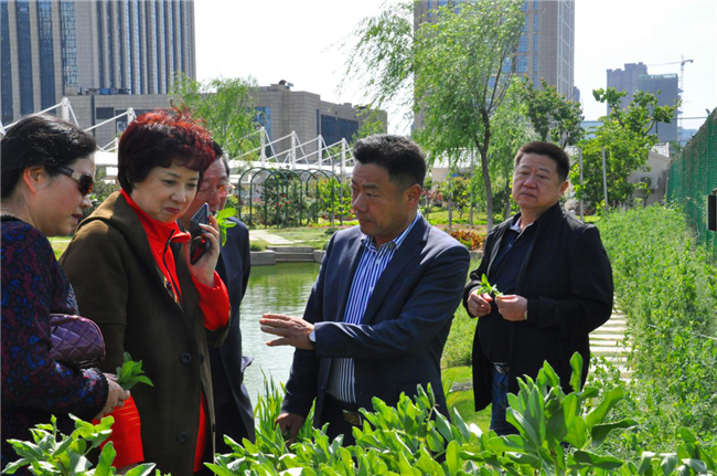 CA88(中国区)有限公司 - 官方网站