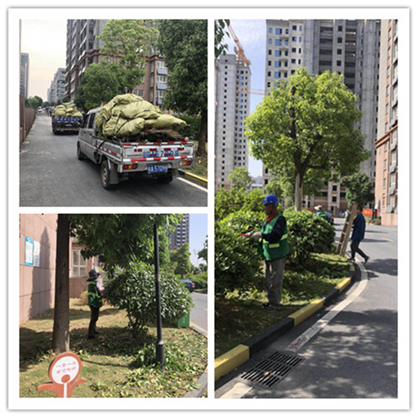 CA88(中国区)有限公司 - 官方网站