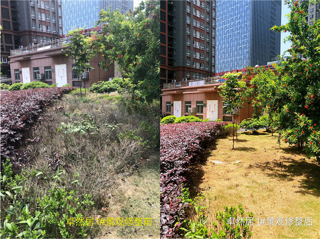 CA88(中国区)有限公司 - 官方网站