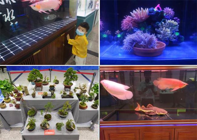 CA88(中国区)有限公司 - 官方网站