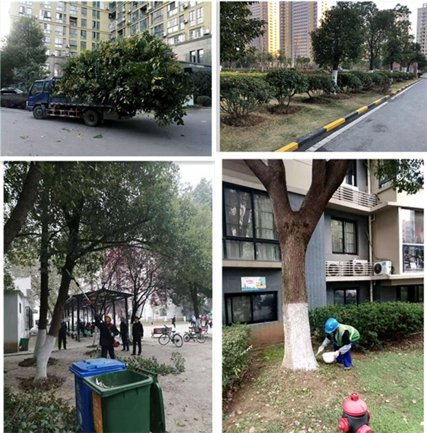 CA88(中国区)有限公司 - 官方网站