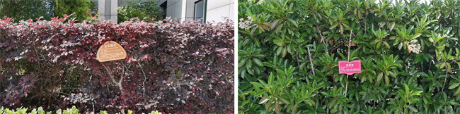 CA88(中国区)有限公司 - 官方网站