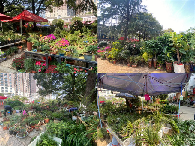 CA88(中国区)有限公司 - 官方网站