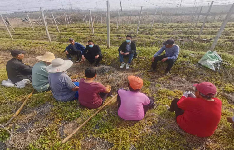 CA88(中国区)有限公司 - 官方网站