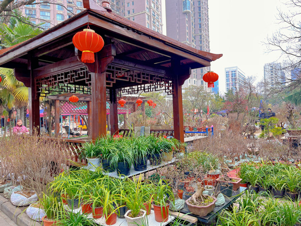 CA88(中国区)有限公司 - 官方网站