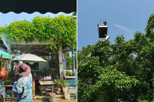 CA88(中国区)有限公司 - 官方网站