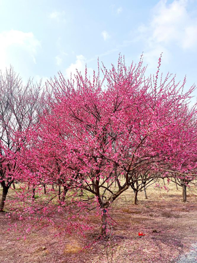 CA88(中国区)有限公司 - 官方网站