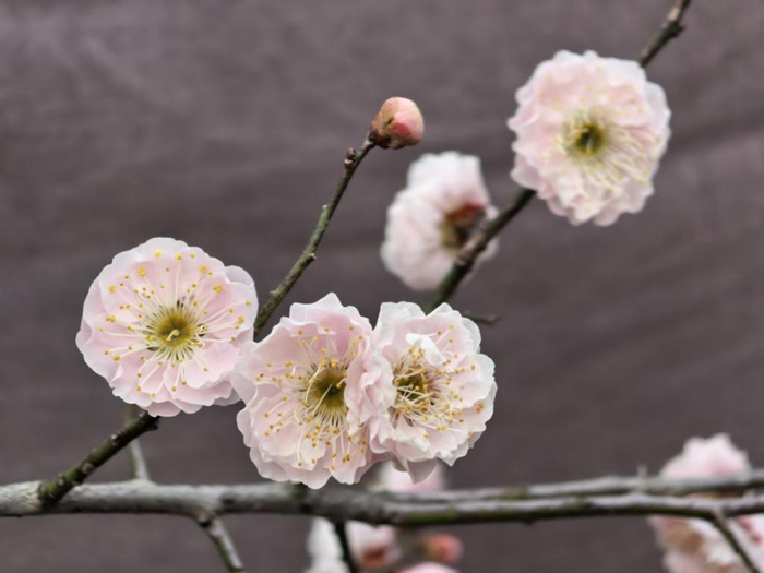 CA88(中国区)有限公司 - 官方网站